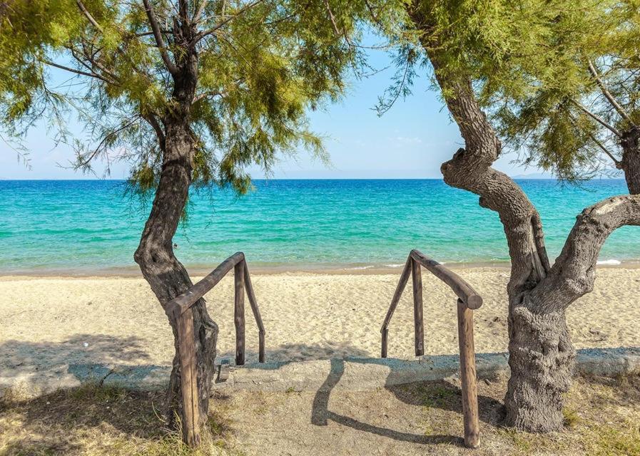 San Giorgio Luxury Apartment